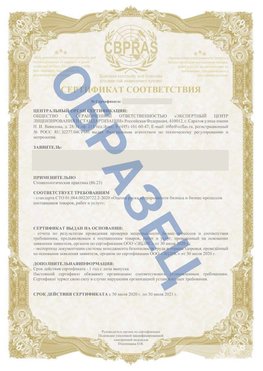 Образец Сертификат СТО 01.064.00220722.2-2020 Сарапул Сертификат СТО 01.064.00220722.2-2020 