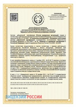 Приложение к сертификату для ИП Сарапул Сертификат СТО 03.080.02033720.1-2020
